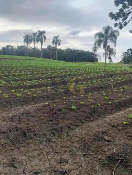 Terreno de 21.000 m  no Umbará  Espaço, Natureza e Privacidade...