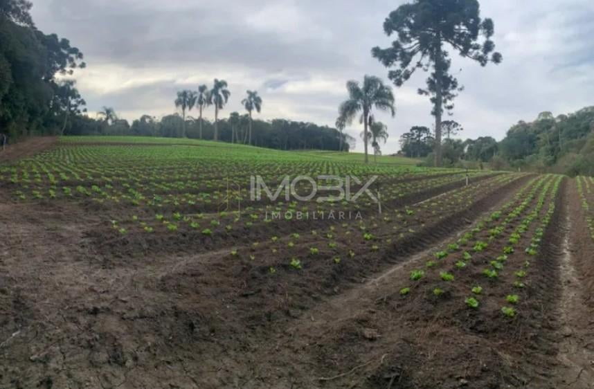 Terreno de 21.000 m no Umbará Espaço, Natureza e Privacidade...