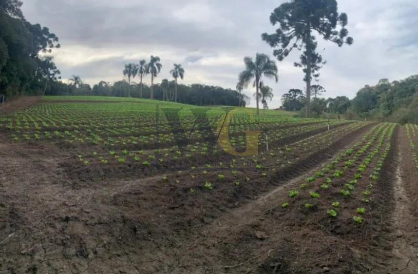 Terreno de 21.000 m  no Umbará  Espaço, Natureza e Privacidade...