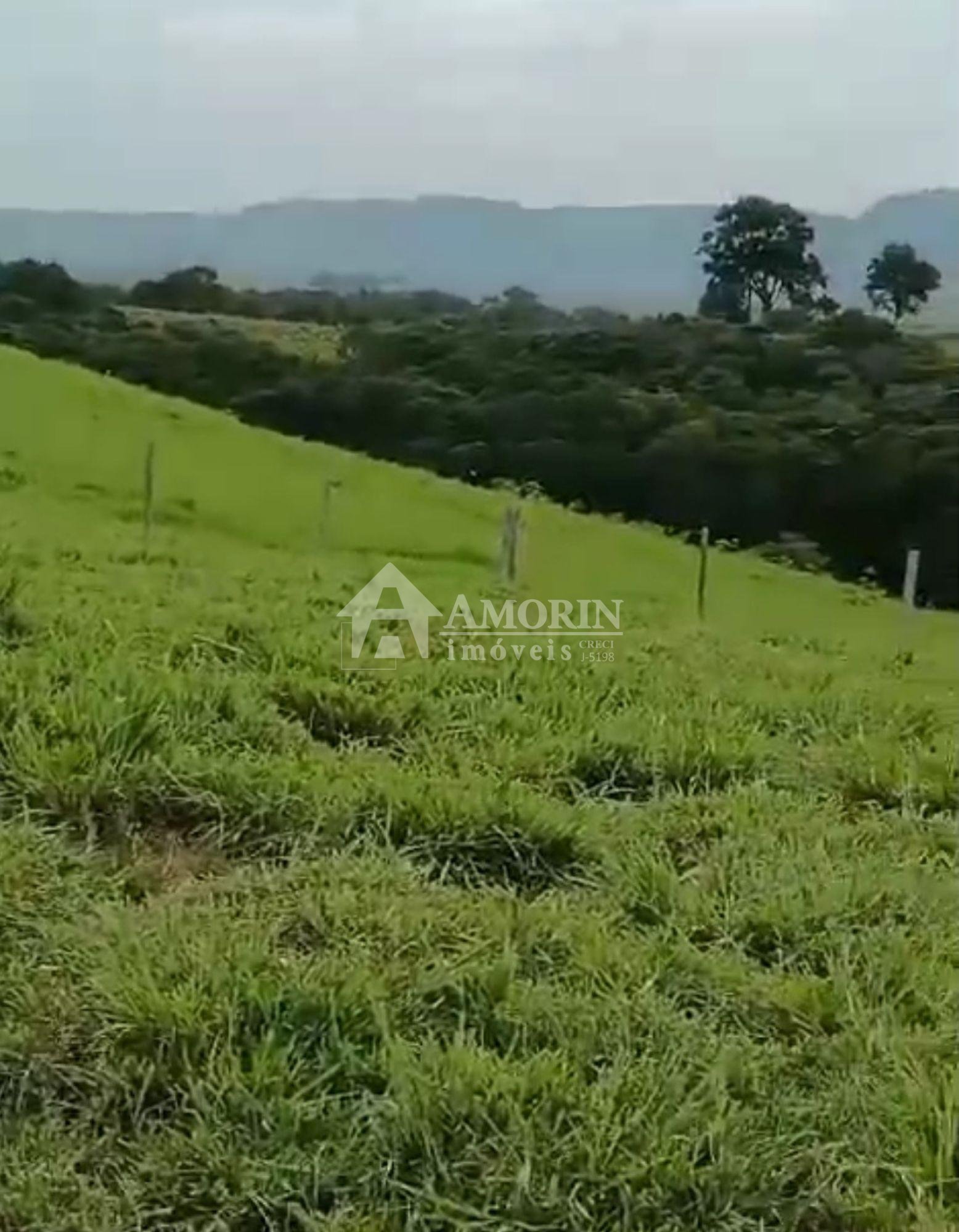 Fazenda à Venda em Prudentópolis  22 Alqueires, Estrutura Comp...