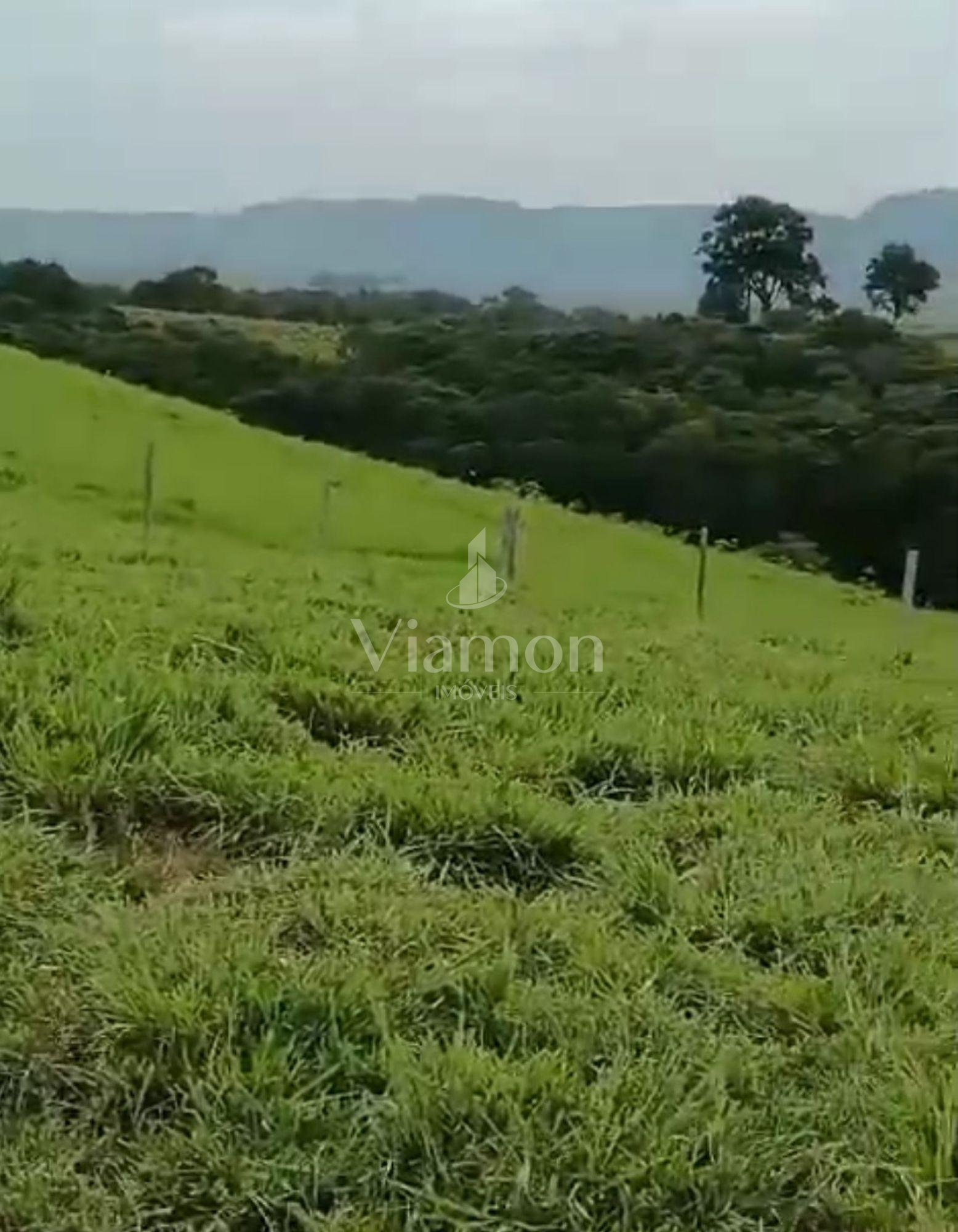 Fazenda à Venda em Prudentópolis  22 Alqueires, Estrutura Comp...