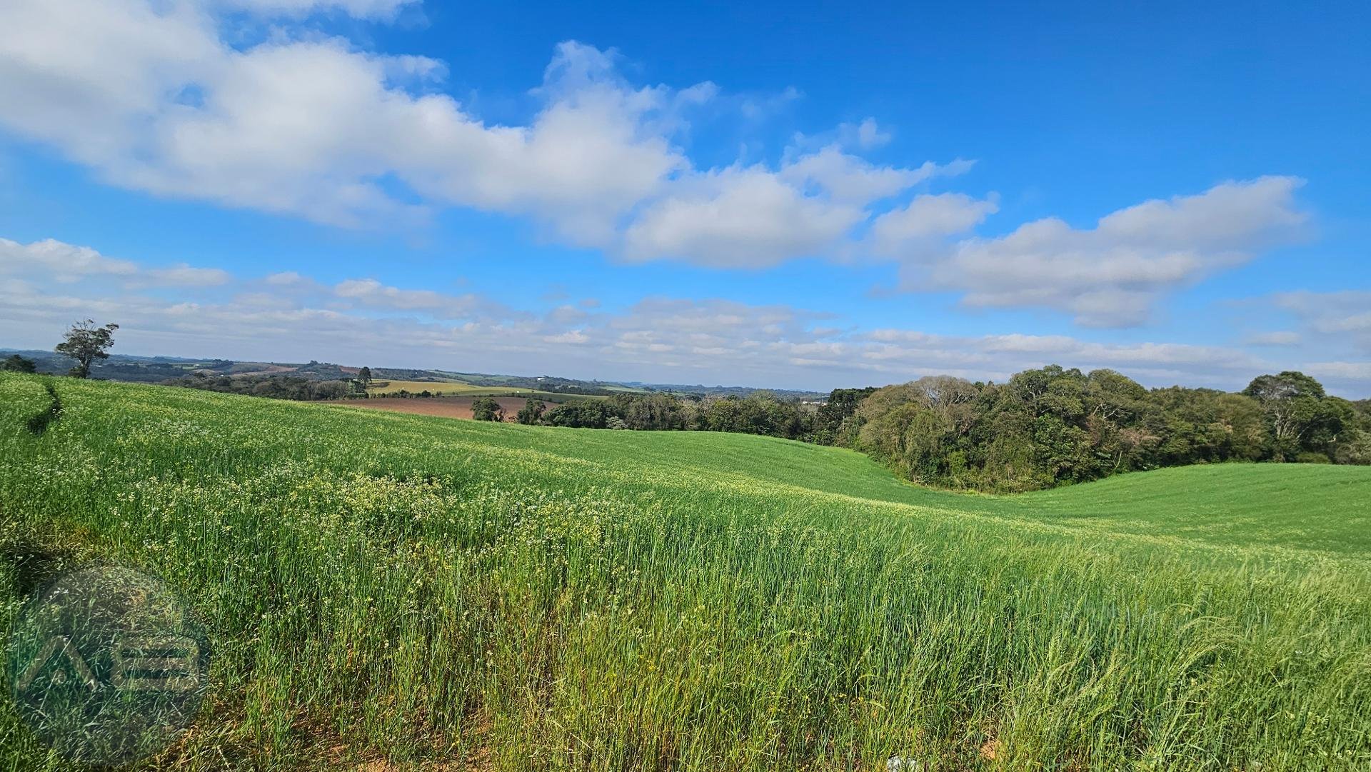Chácara com 20000m  , com uma linda vista, frente para o asfal...