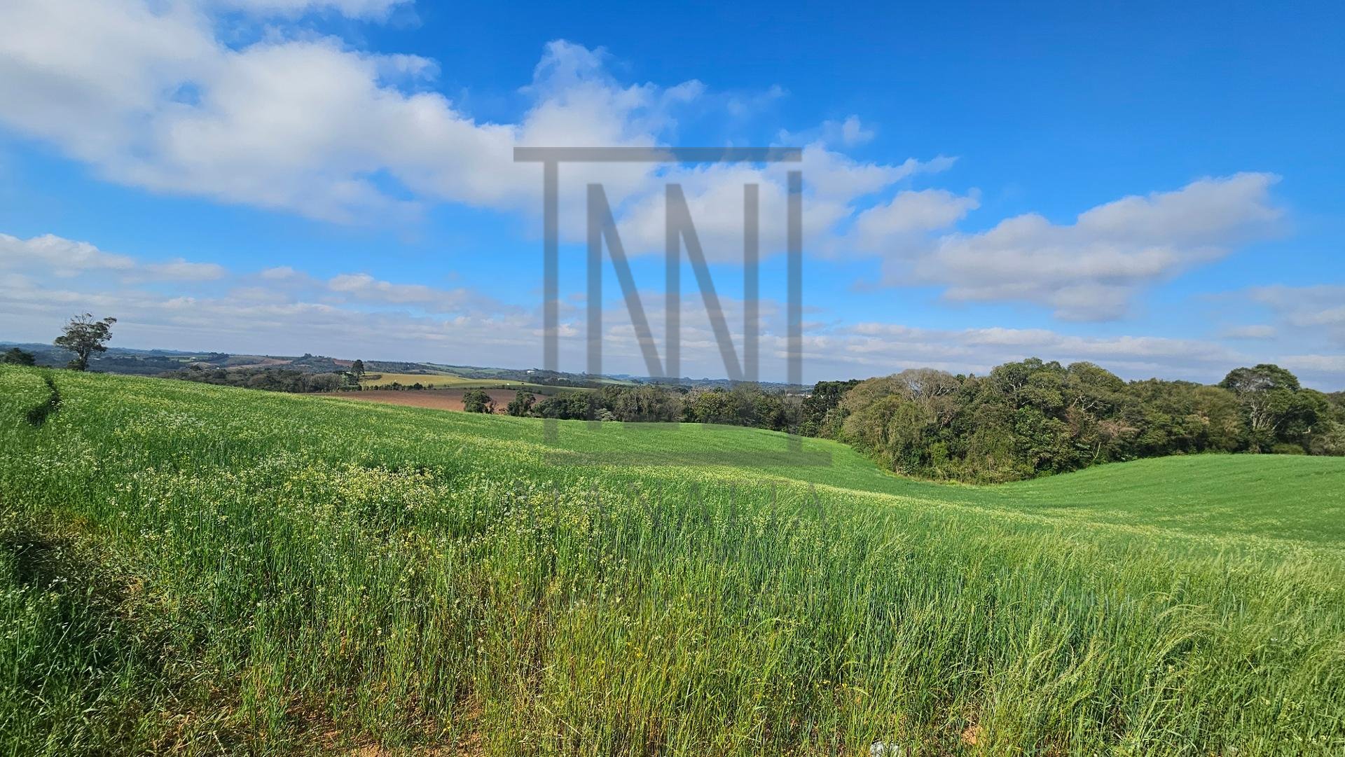 Chácara 20.000m  em Araucária  Frente Asfalto, Vista Linda e Z...