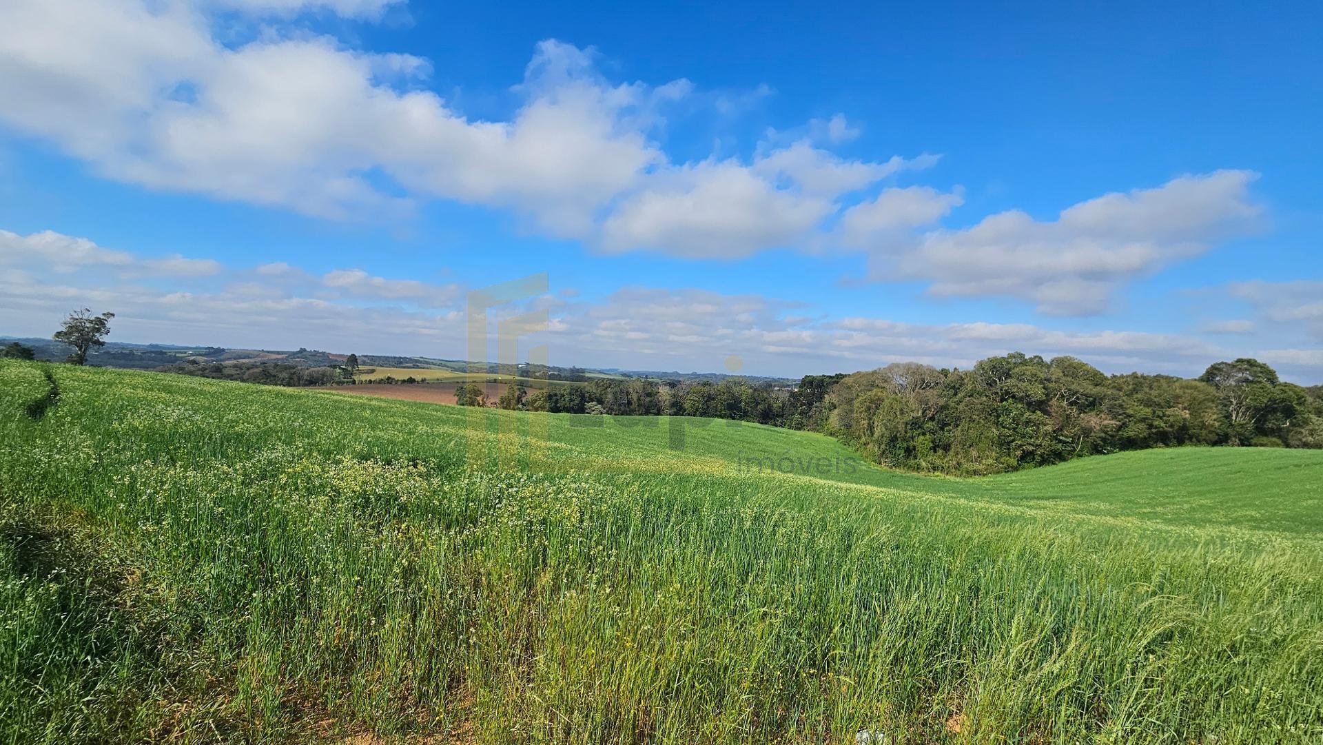 Chácara 20.000m  em Araucária  Frente Asfalto, Vista Linda e Z...