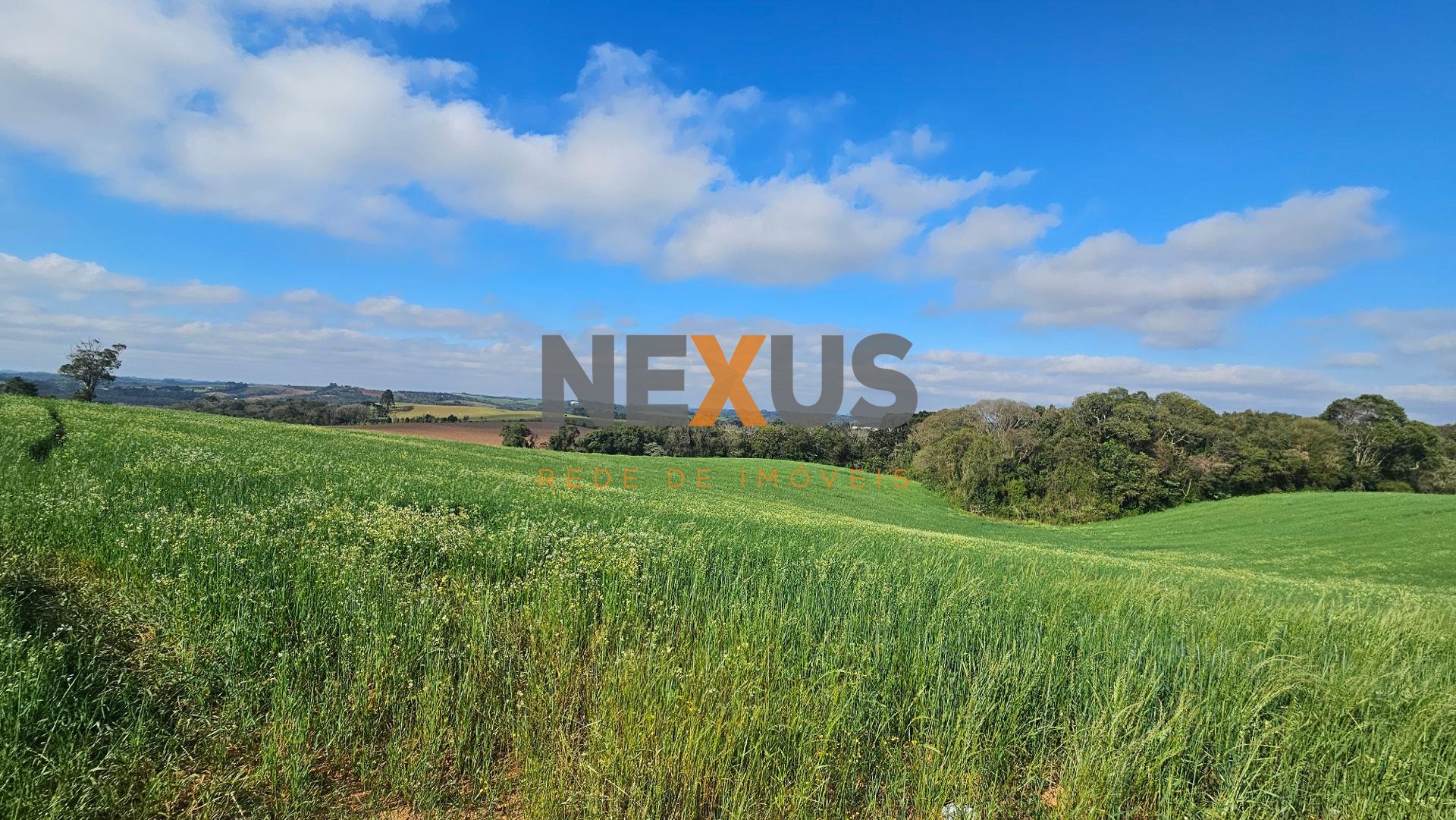 Chácara 20.000m em Araucária Frente Asfalto, Vista Linda e Z...