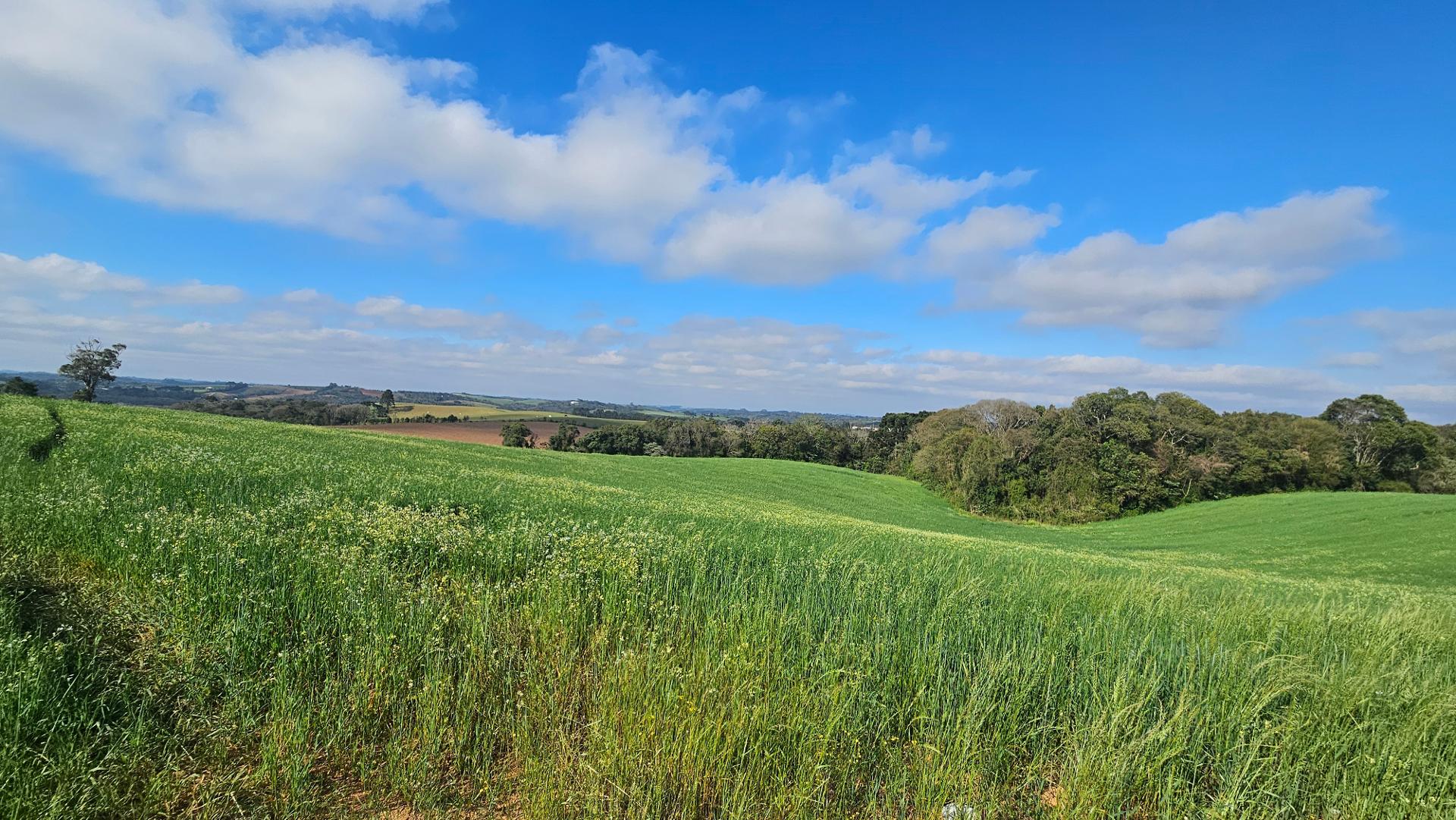 Chácara 20.000m  em Araucária  Frente Asfalto, Vista Linda e Z...
