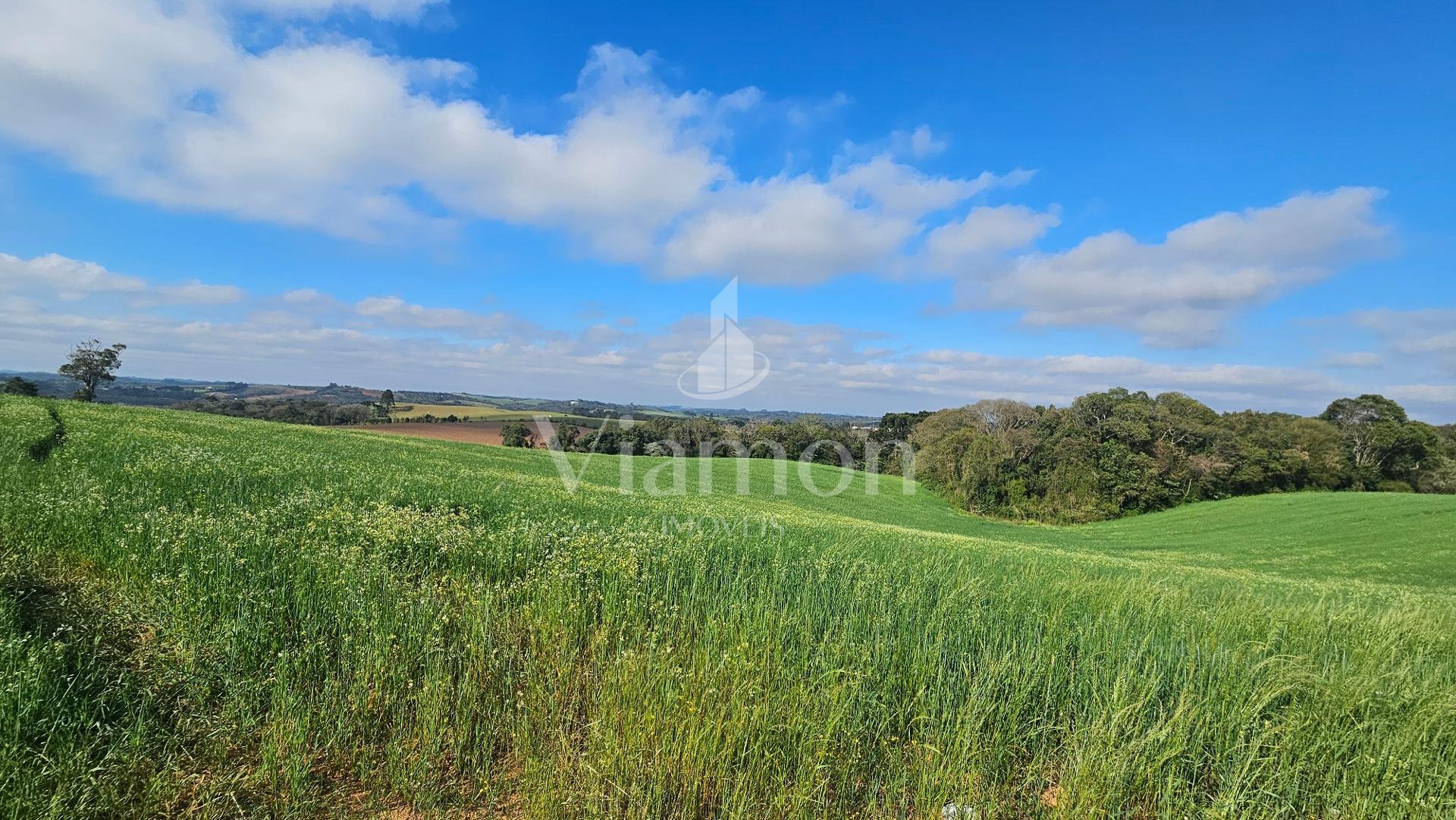 Chácara com 20000m  , com uma linda vista, frente para o asfal...