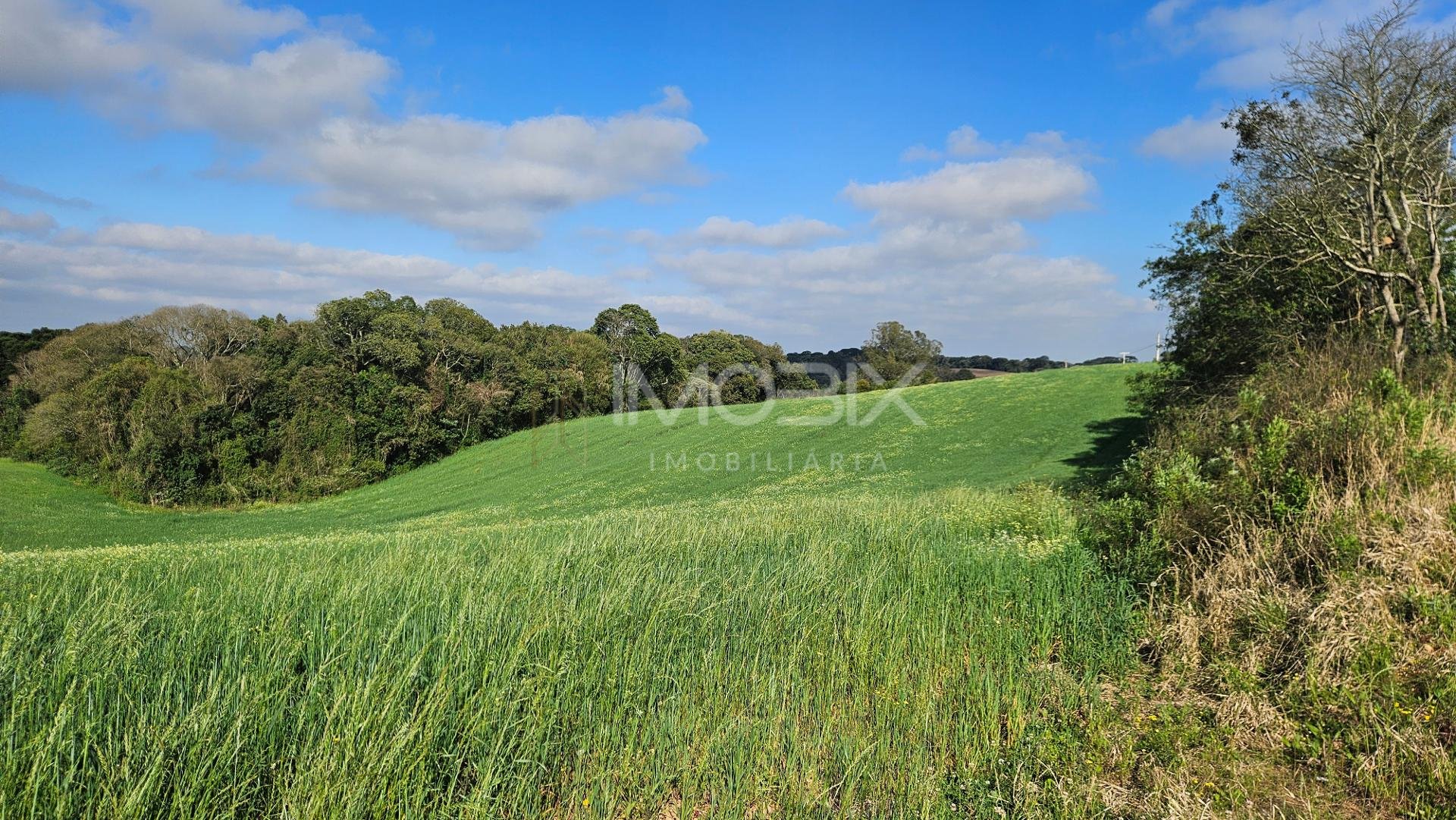 Chácara 20.000m  em Araucária  Frente Asfalto, Vista Linda e Z...