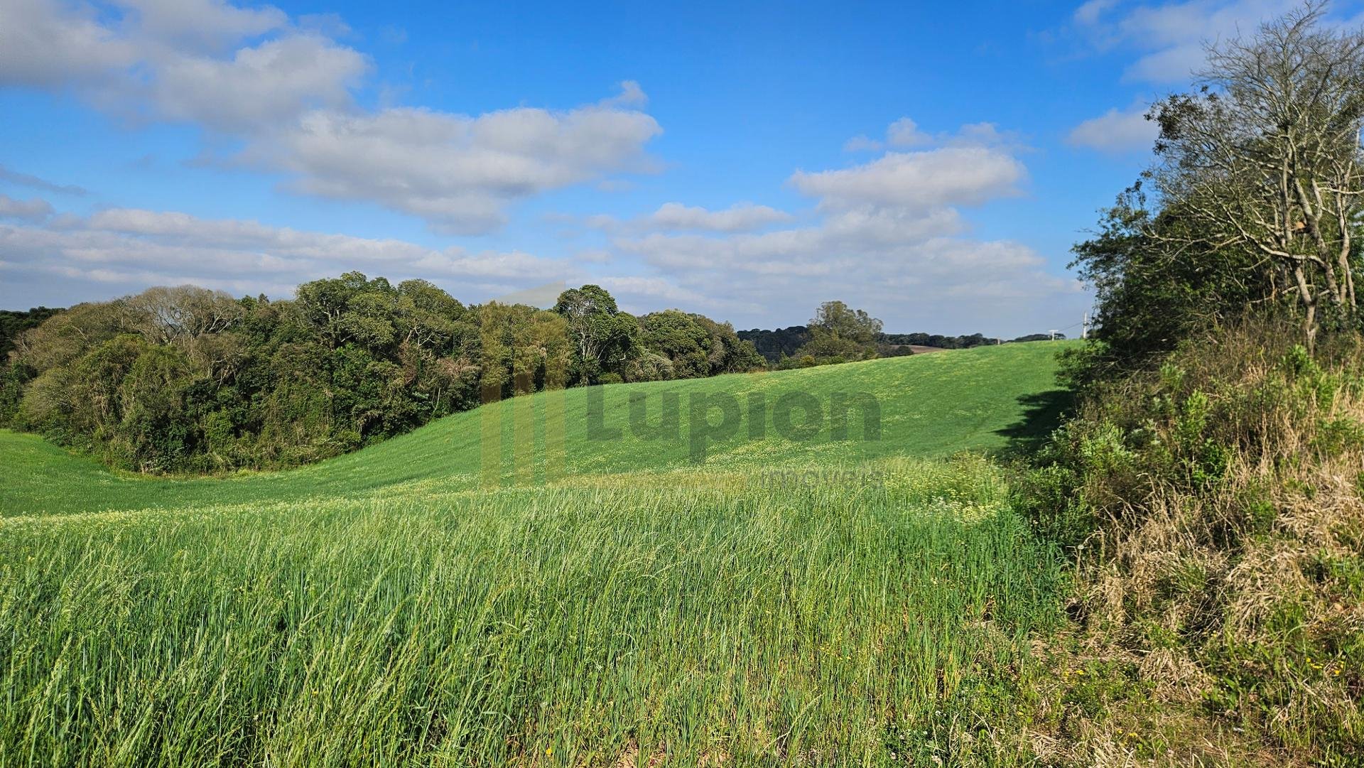 Chácara 20.000m  em Araucária  Frente Asfalto, Vista Linda e Z...