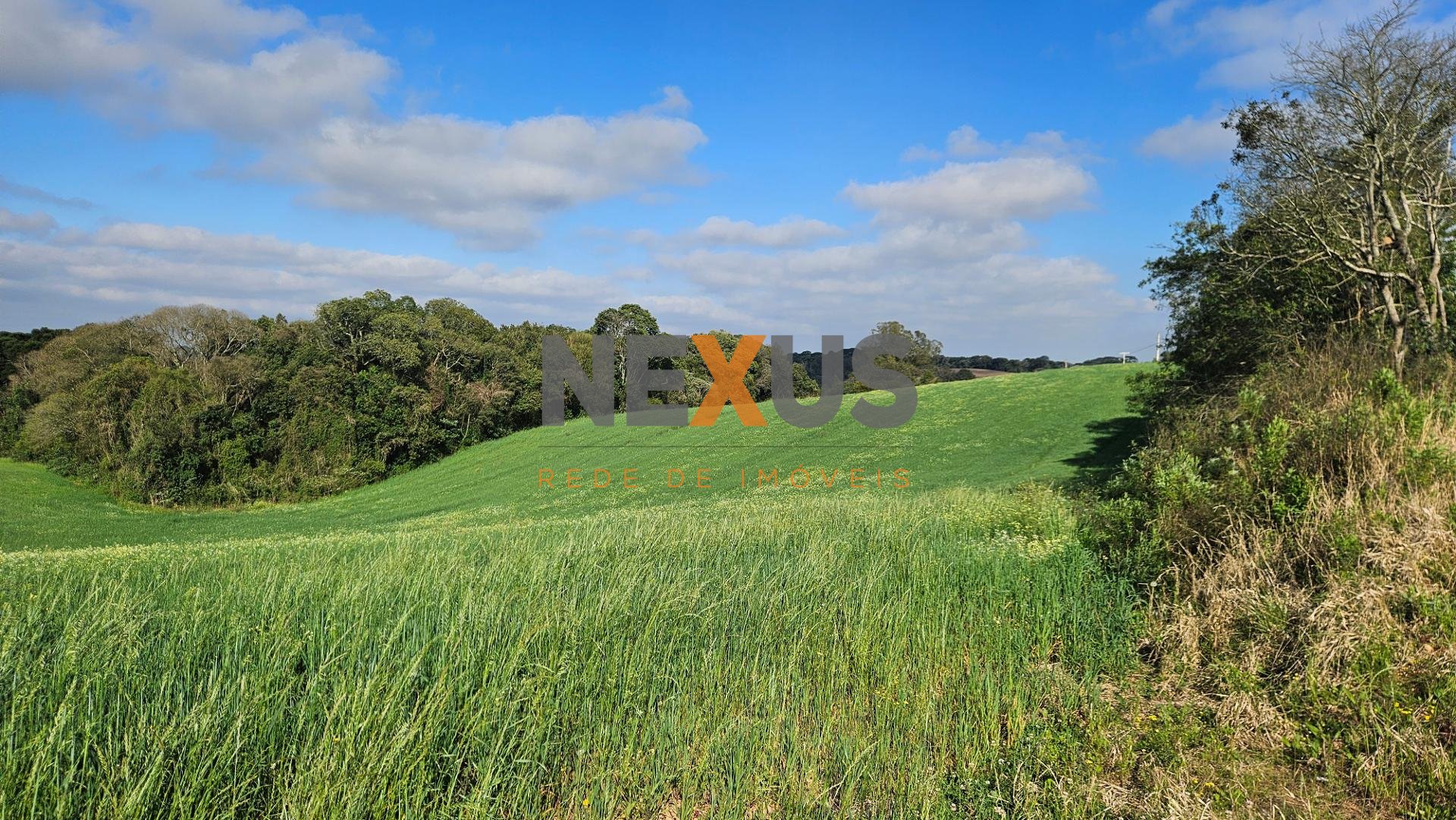 Chácara 20.000m em Araucária Frente Asfalto, Vista Linda e Z...