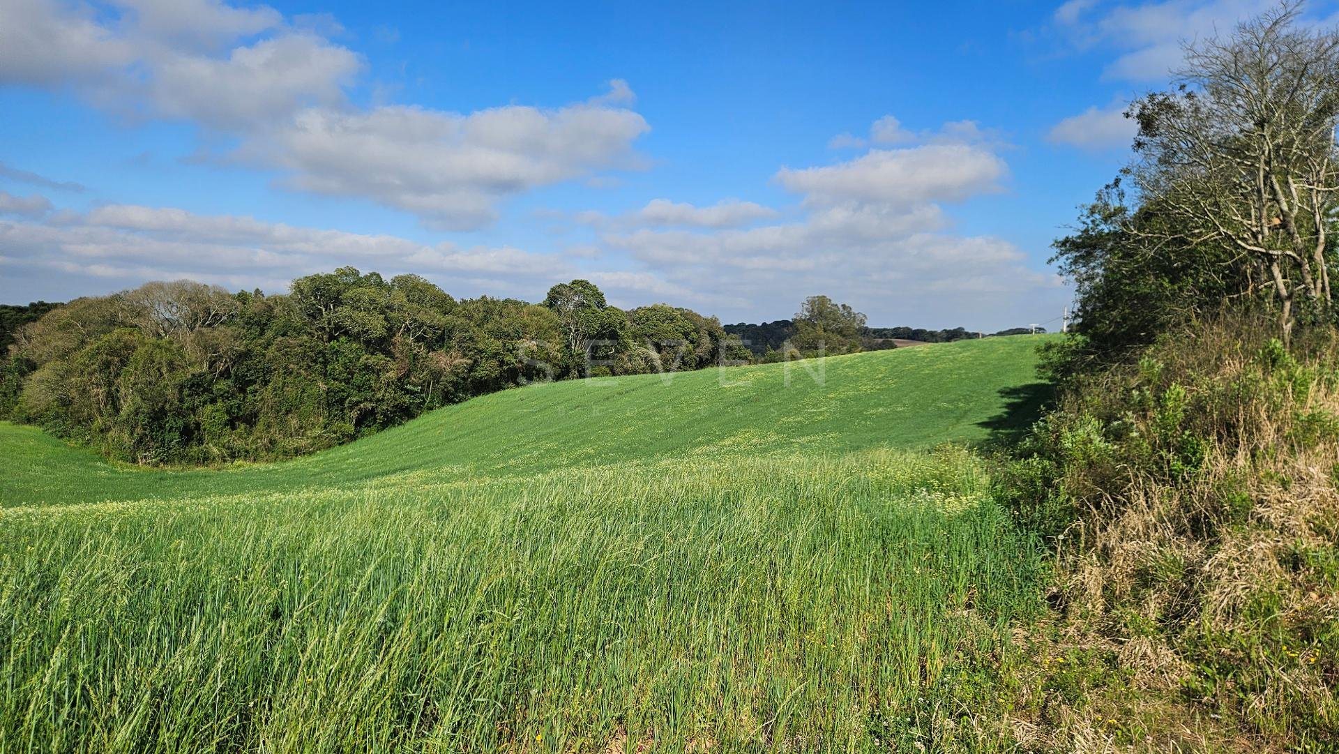 Chácara 20.000m  em Araucária  Frente Asfalto, Vista Linda e Z...