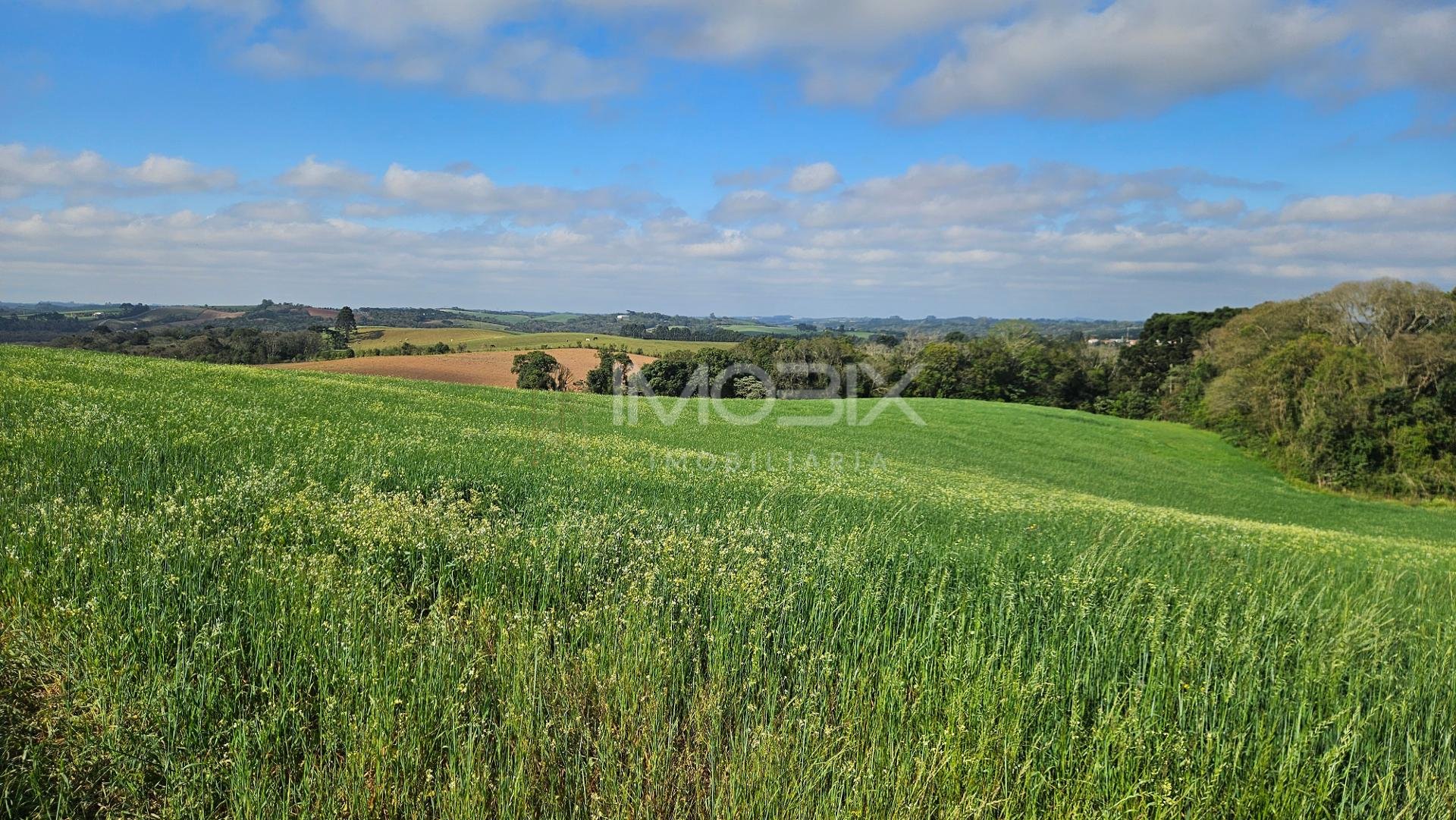Chácara 20.000m  em Araucária  Frente Asfalto, Vista Linda e Z...