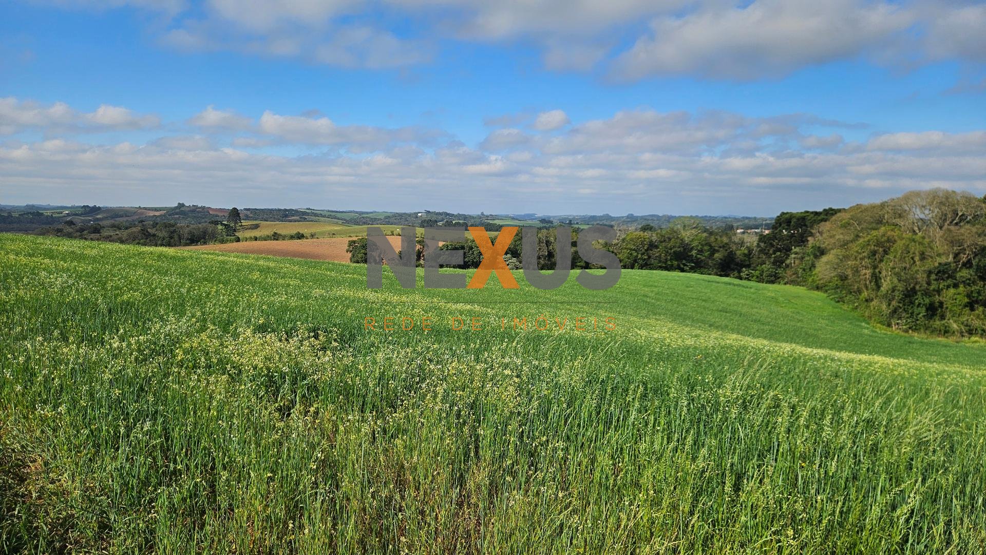 Chácara 20.000m em Araucária Frente Asfalto, Vista Linda e Z...