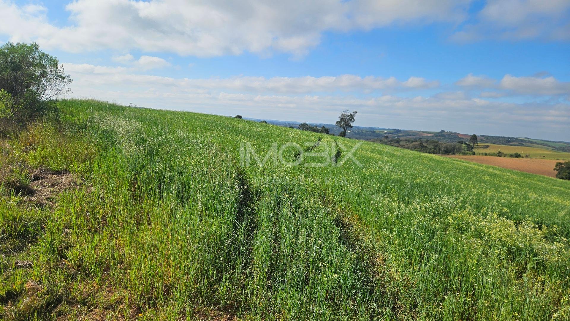 Chácara 20.000m  em Araucária  Frente Asfalto, Vista Linda e Z...