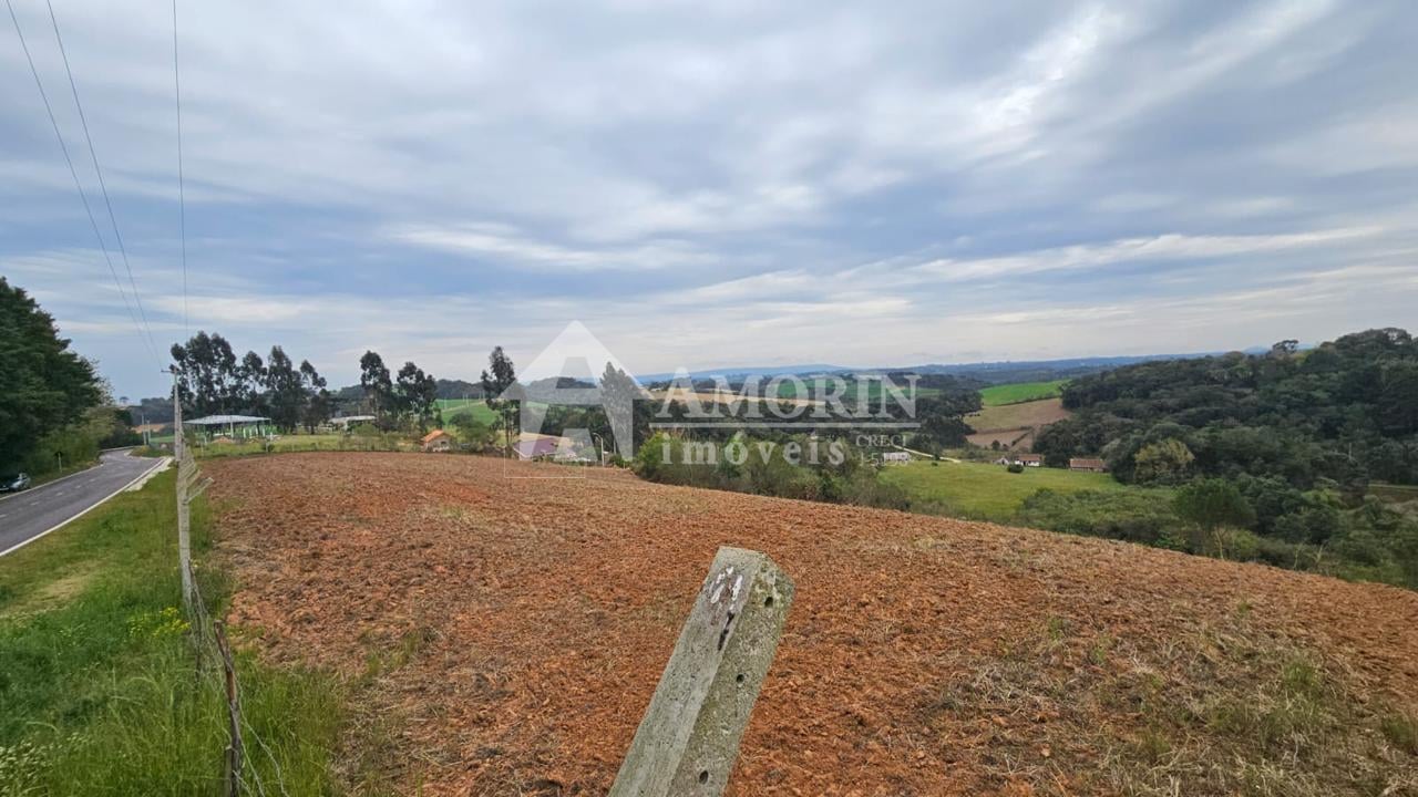 Área de 36.000 m  ideal para formar chácara  frente asfaltada,...