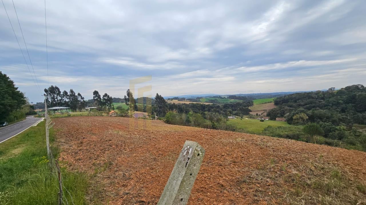 Área de 36.000 m  ideal para formar chácara  frente asfaltada,...