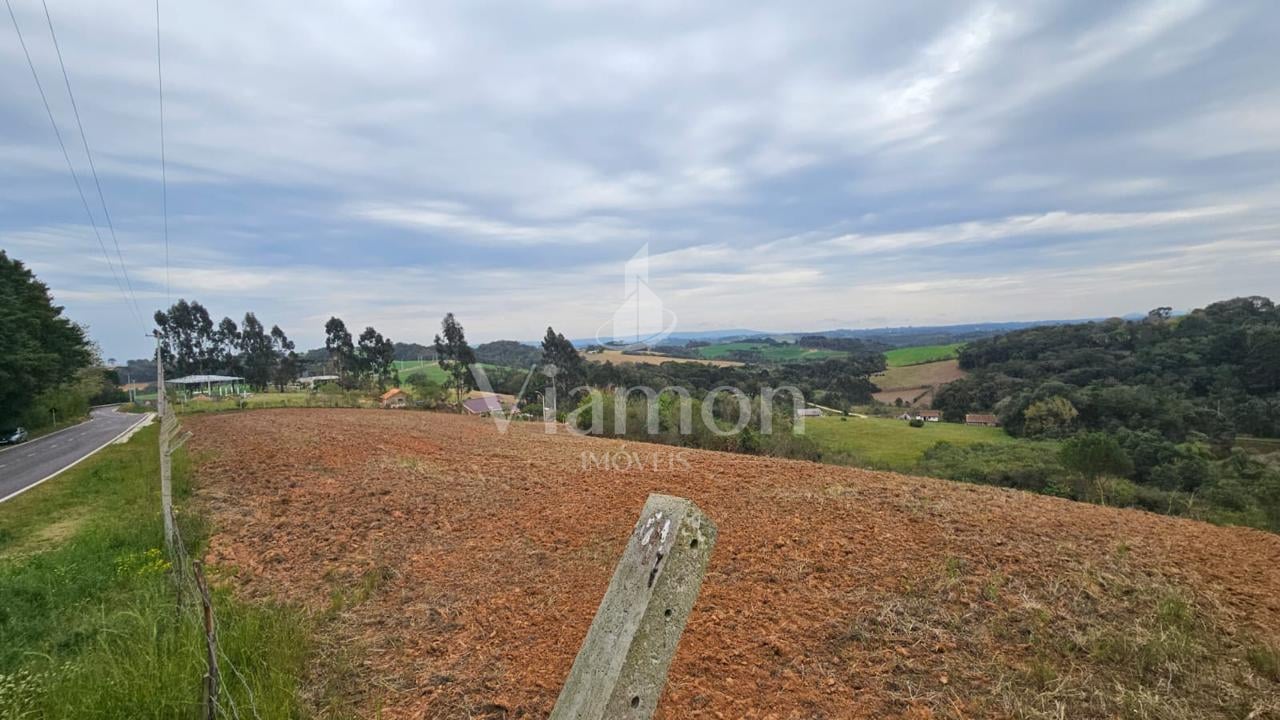 Área de 36.000 m  ideal para formar chácara  frente asfaltada,...