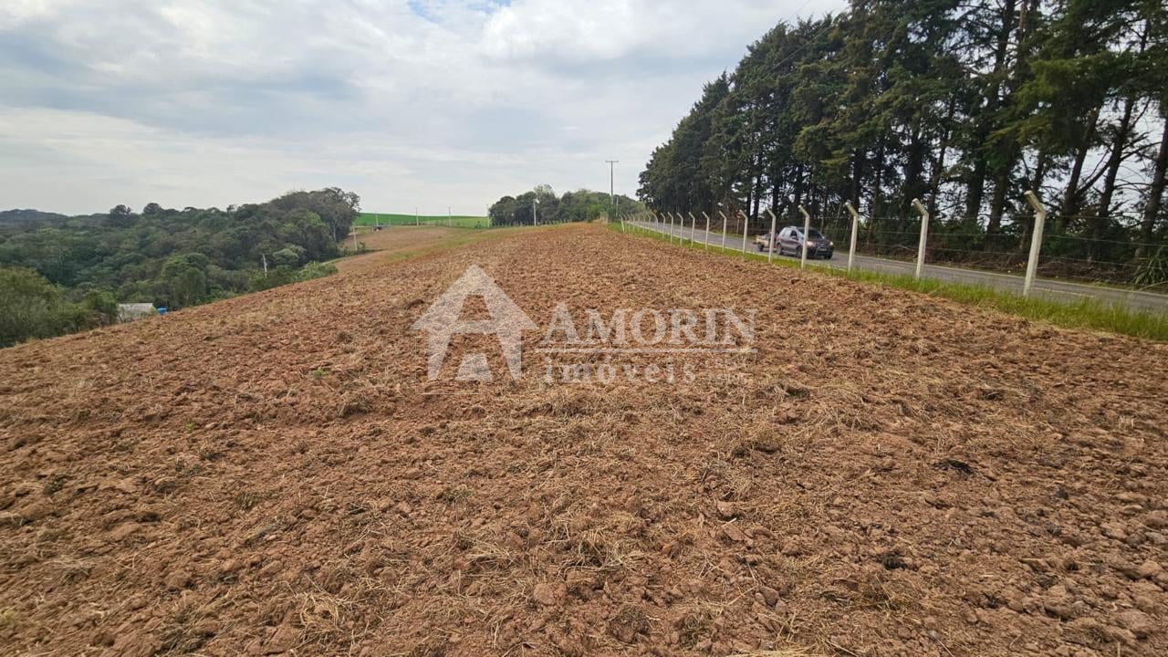Área de 36.000 m  ideal para formar chácara  frente asfaltada,...