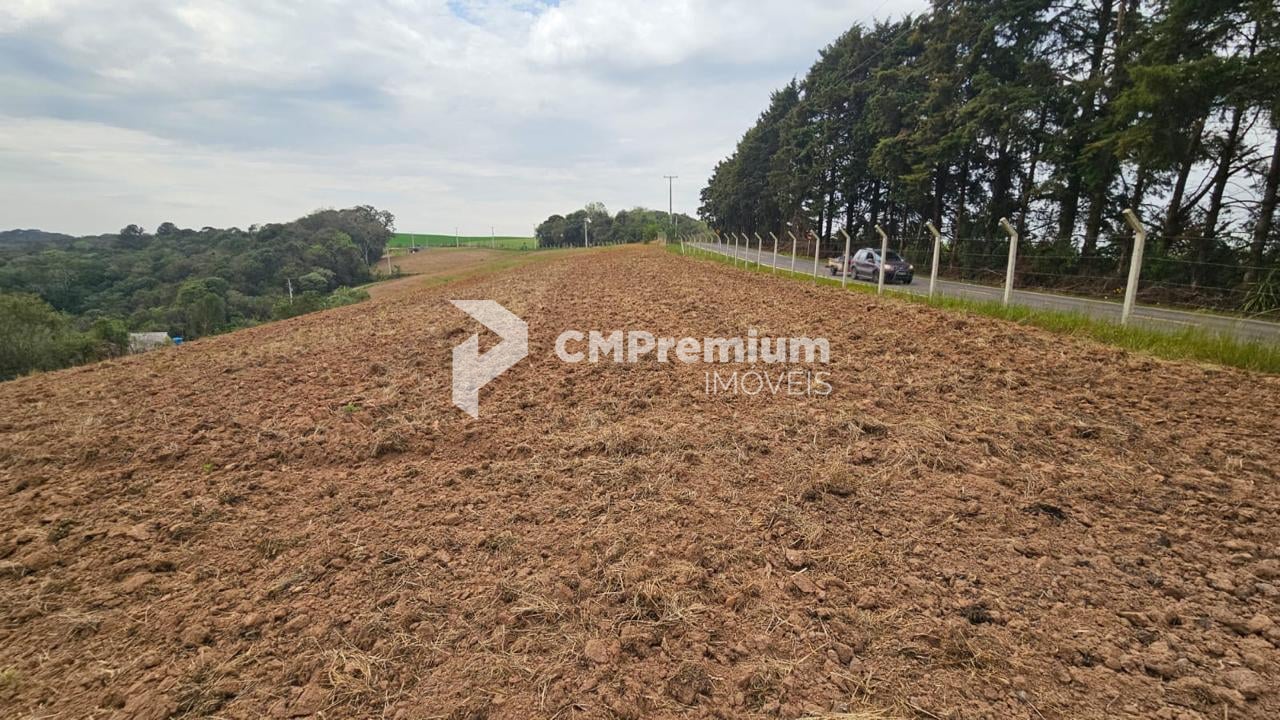 Área de 36.000 m  ideal para formar chácara  frente asfaltada,...