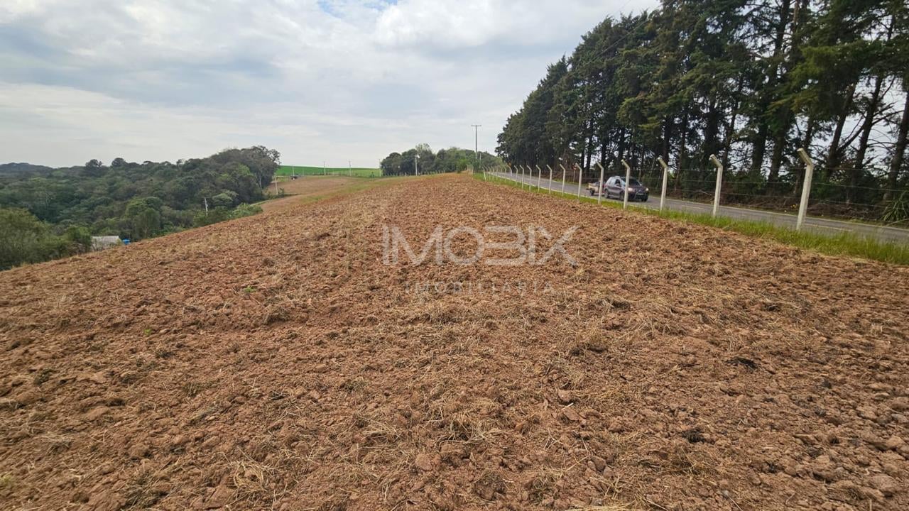 Área de 36.000 m ideal para formar chácara frente asfaltada,...