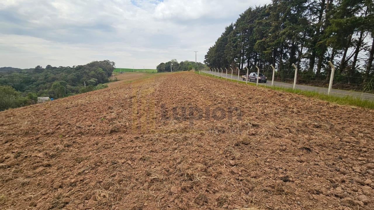 Área de 36.000 m  ideal para formar chácara  frente asfaltada,...
