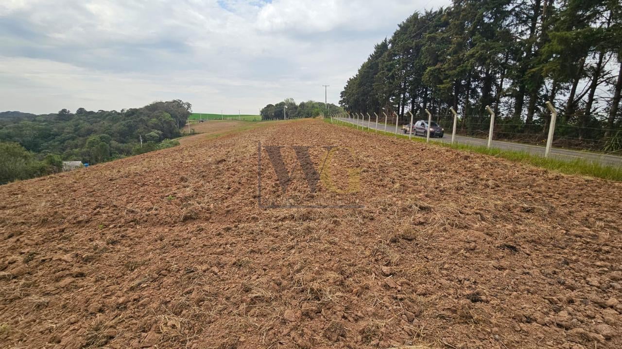 Área de 36.000 m  ideal para formar chácara  frente asfaltada,...