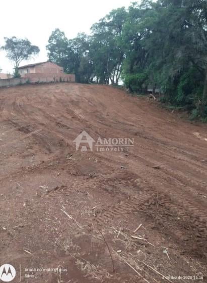 Terreno Premium no Bairro Costeira com Potencial para 180 Apar...