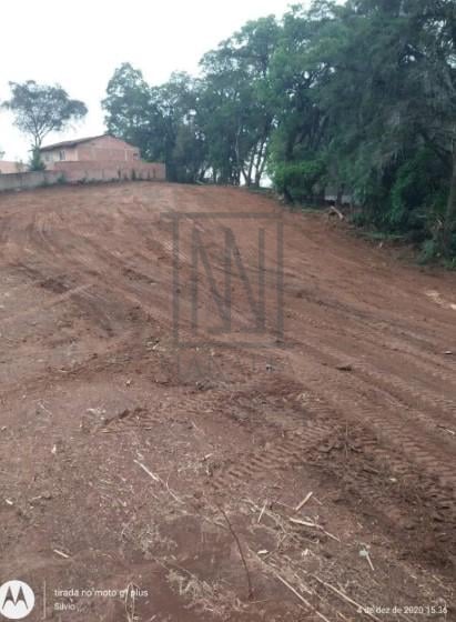 Terreno Premium no Bairro Costeira com Potencial para 180 Apar...