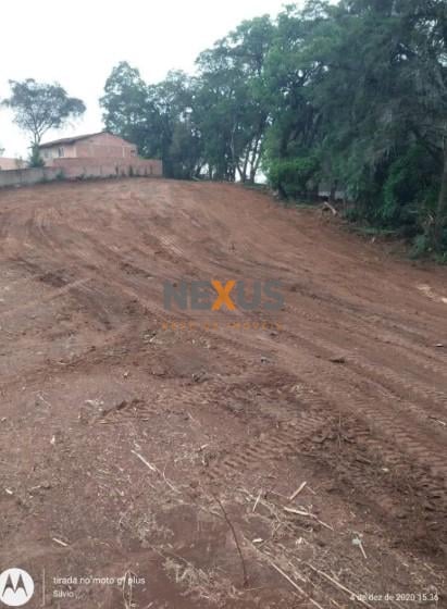 Terreno Premium no Bairro Costeira com Potencial para 180 Apar...