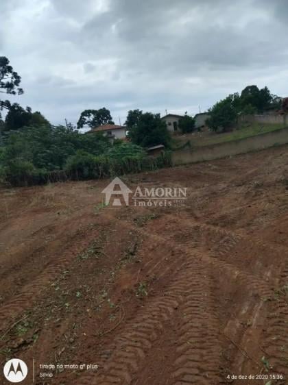Terreno Premium no Bairro Costeira com Potencial para 180 Apar...