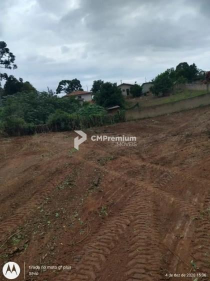 Terreno Premium no Bairro Costeira com Potencial para 180 Apar...