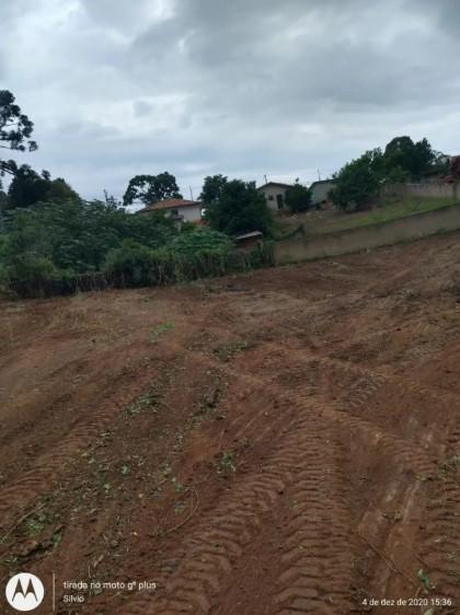 Terreno Premium no Bairro Costeira com Potencial para 180 Apar...