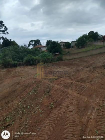 Terreno Premium no Bairro Costeira com Potencial para 180 Apar...