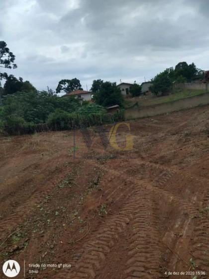 Terreno Premium no Bairro Costeira com Potencial para 180 Apar...