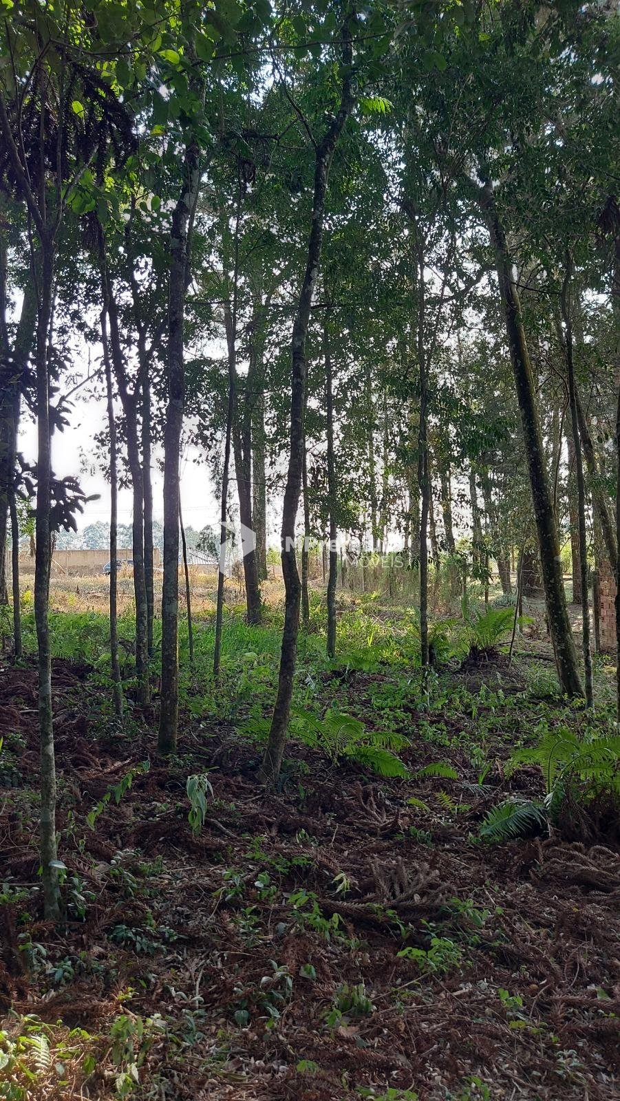 Terreno 1.824m  no Umbará, Curitiba  amplo, tranquilo e pronto...