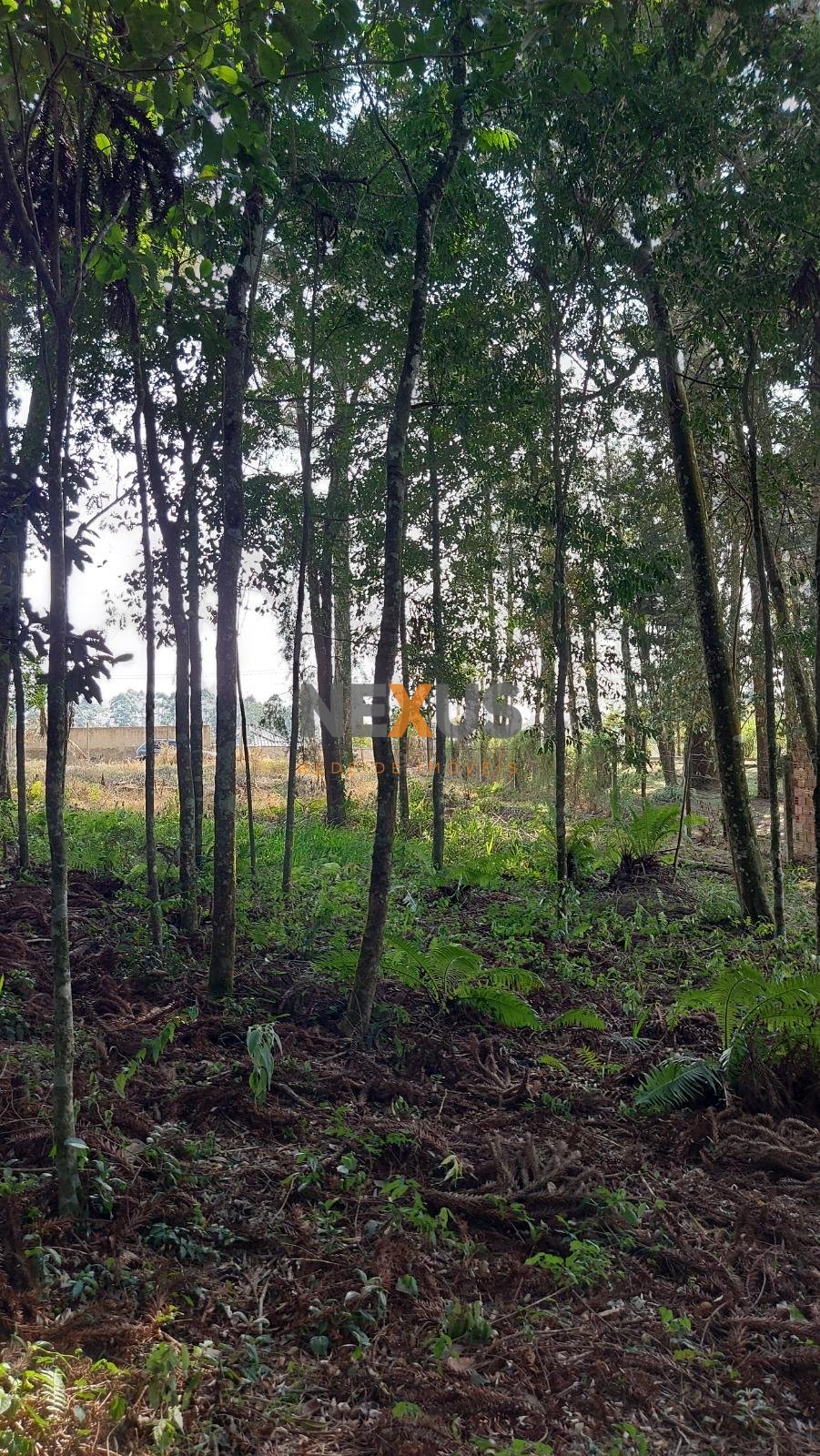Terreno 1.824m no Umbará, Curitiba amplo, tranquilo e pronto...