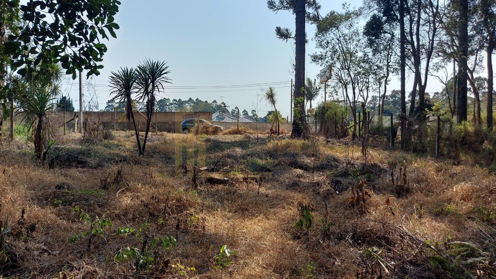 Terreno 1.824m  no Umbará, Curitiba  amplo, tranquilo e pronto...
