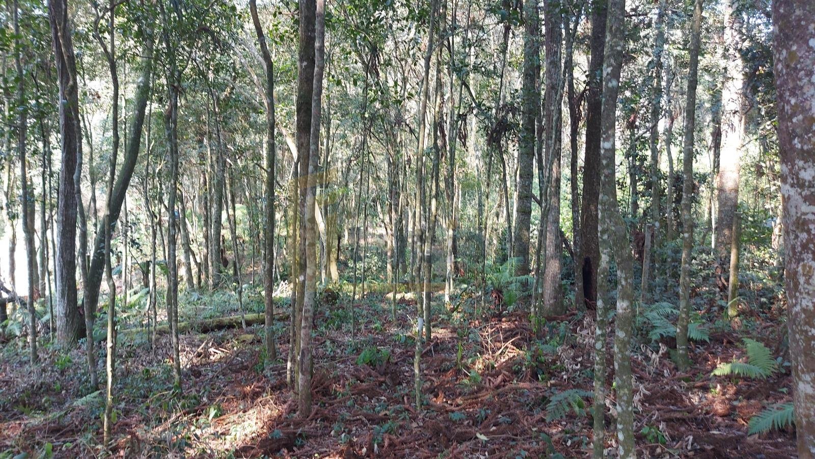 Terreno 1.824m  no Umbará, Curitiba  amplo, tranquilo e pronto...