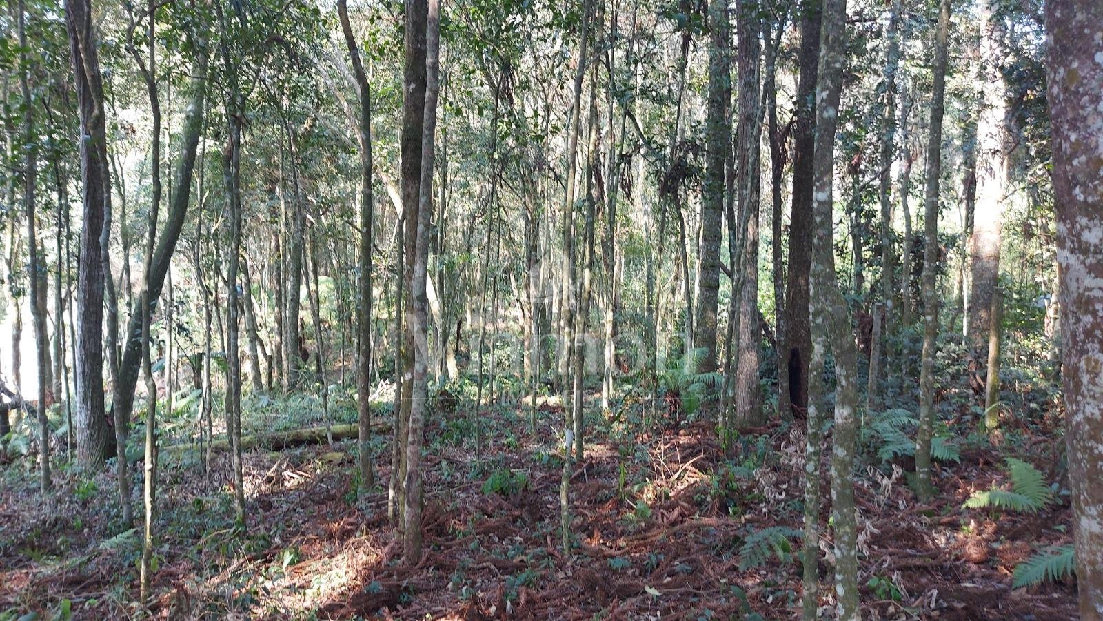 Terreno 1.824m  no Umbará, Curitiba  amplo, tranquilo e pronto...