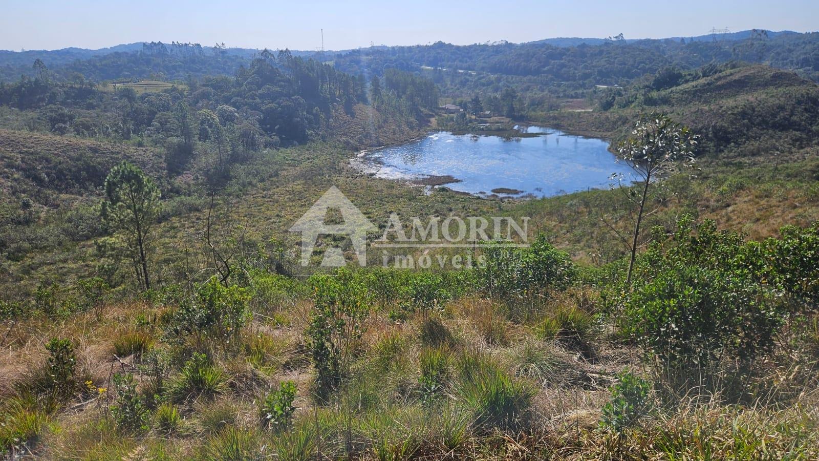Chácara à Venda em São José dos Pinhais  Casa Ampla, Vista par...