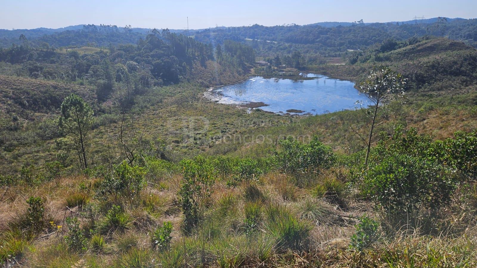 Chácara à Venda em São José dos Pinhais  Casa Ampla, Vista par...