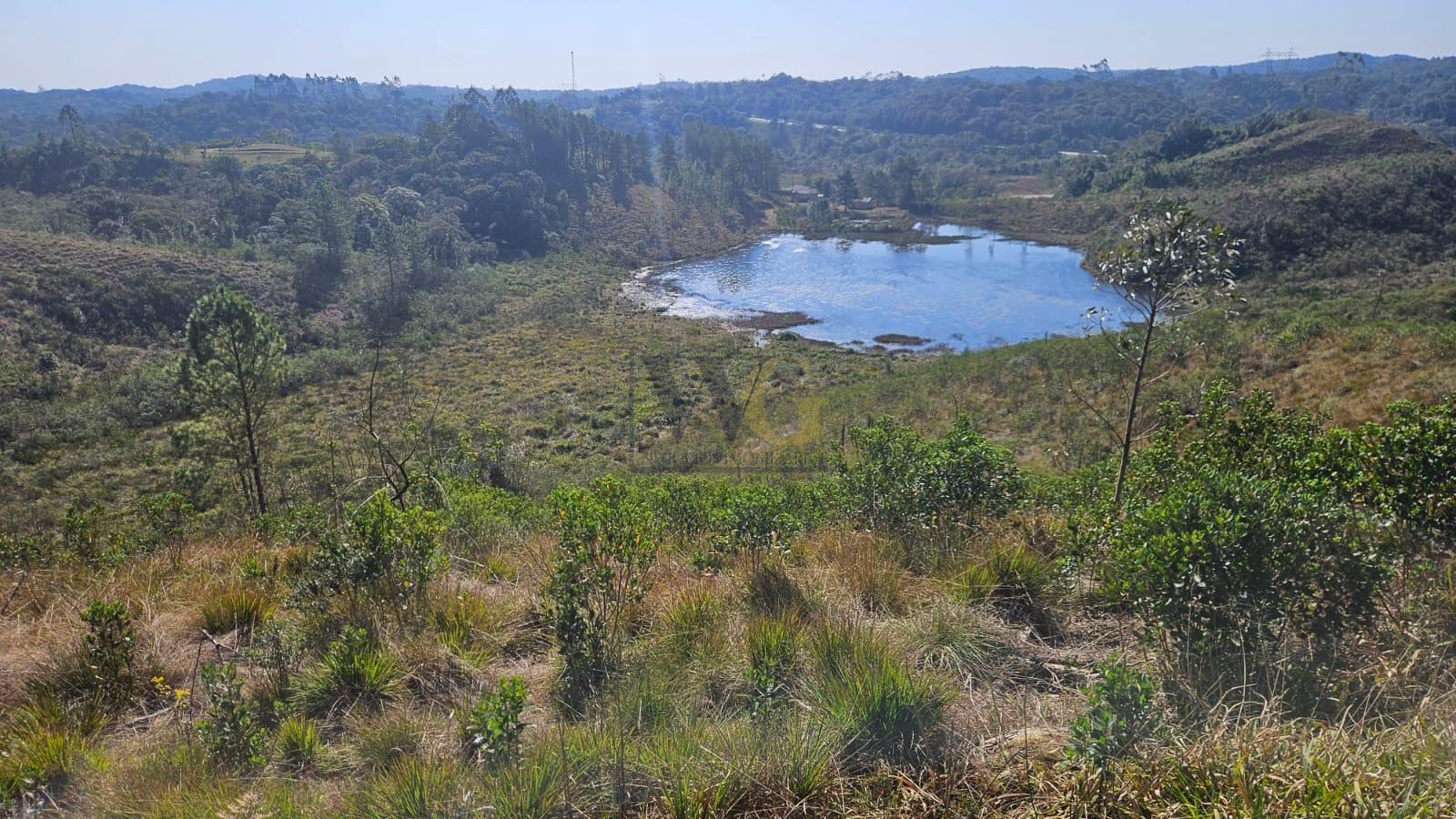 Chácara à Venda em São José dos Pinhais  Casa Ampla, Vista par...