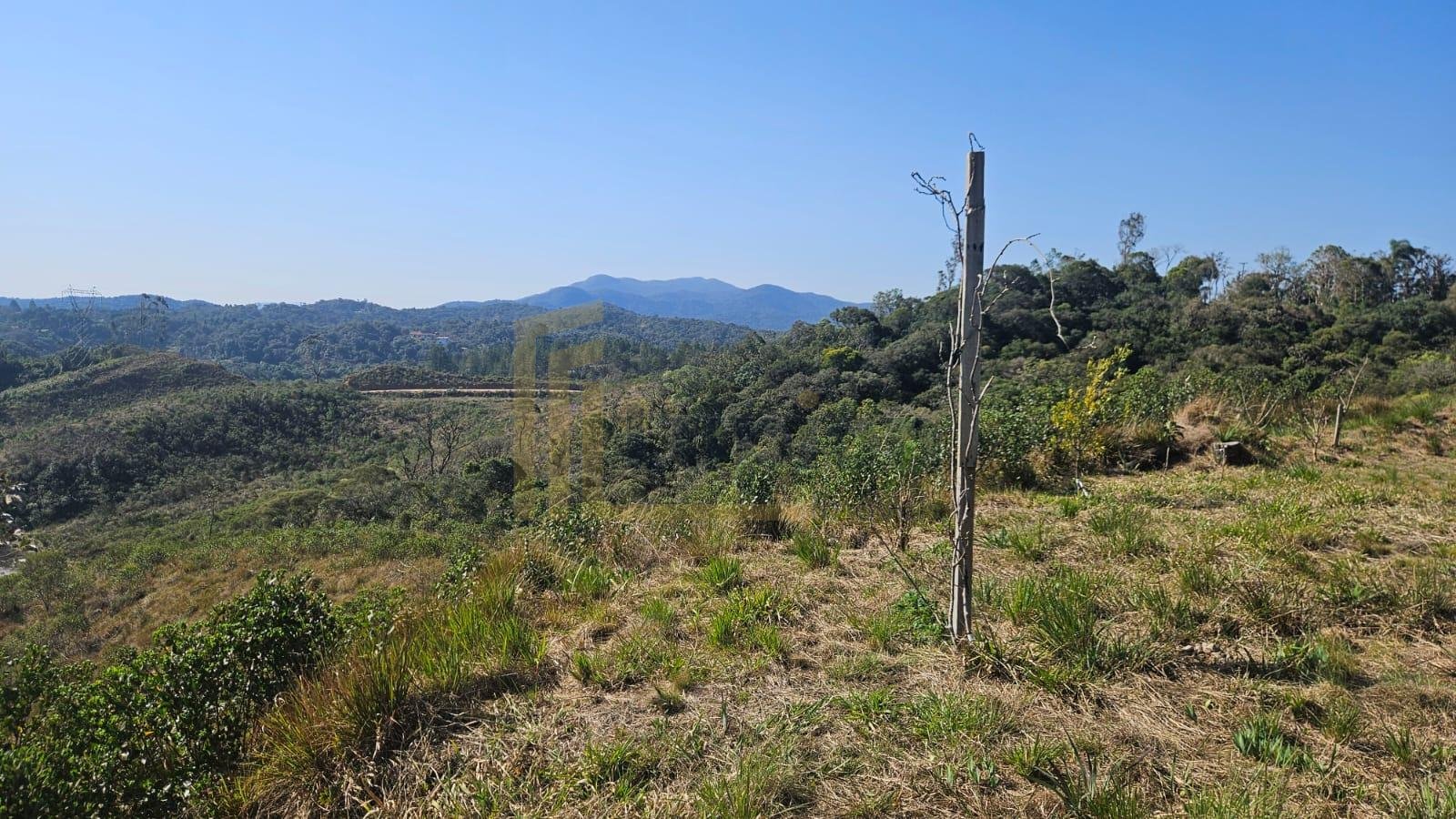 Chácara à Venda em São José dos Pinhais  Casa Ampla, Vista par...