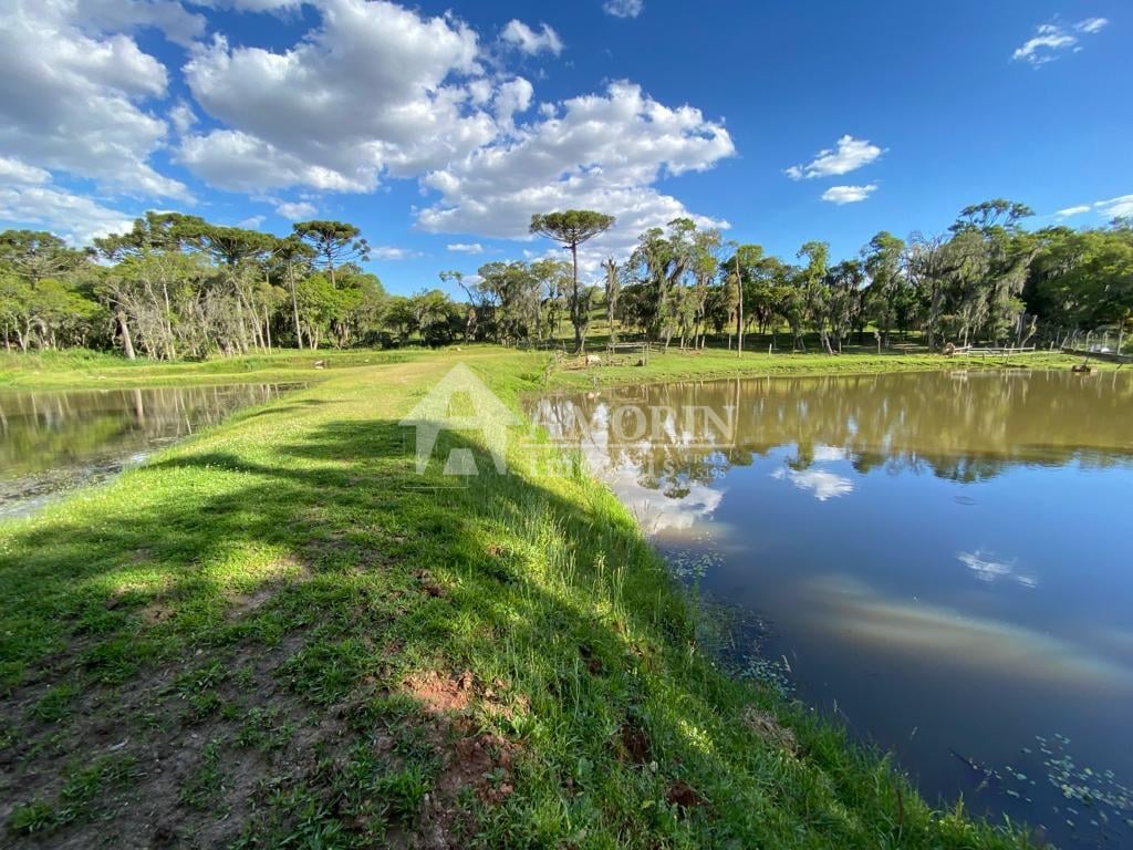 Chácara com 29.328,08m , com 2 casas, 4 tanques de peixes, em ...