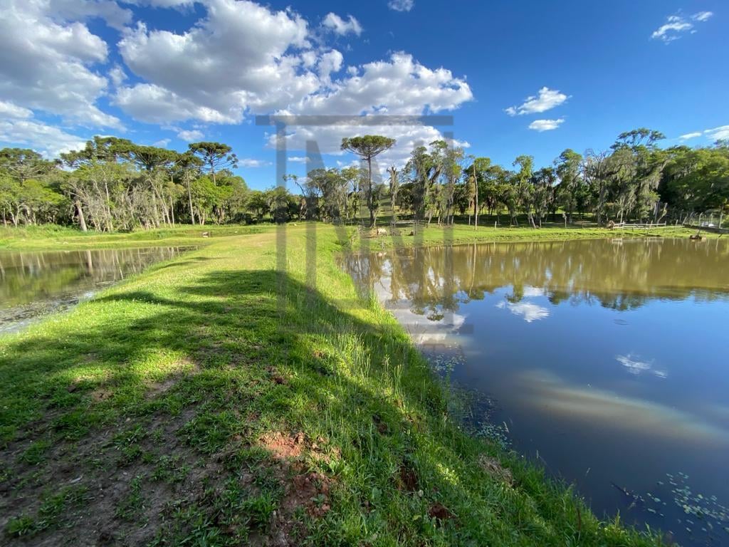 Chácara com 29.328,08m , com 2 casas, 4 tanques de peixes, em ...