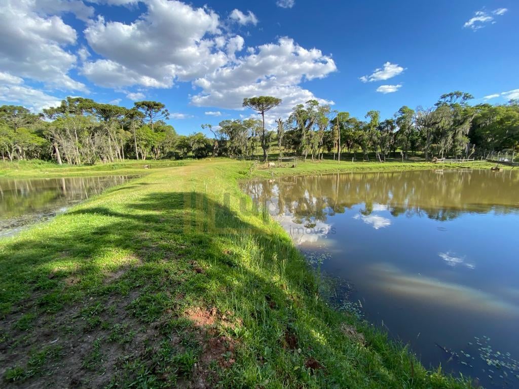 Chácara com 29.328,08m , com 2 casas, 4 tanques de peixes, em ...