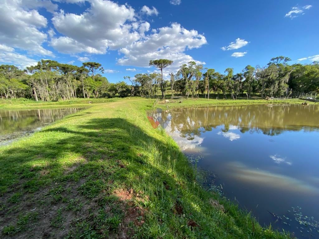 Chácara com 29.328,08m , com 2 casas, 4 tanques de peixes, em ...