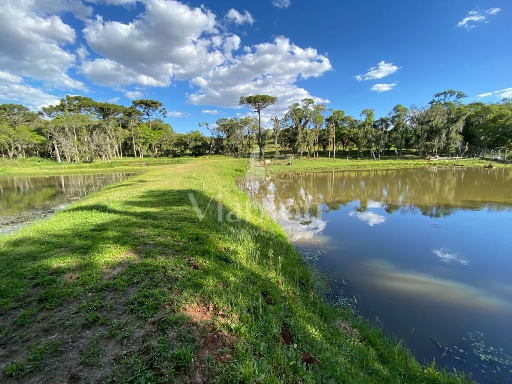 Chácara com 29.328,08m , com 2 casas, 4 tanques de peixes, em ...