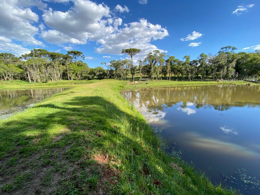 Chácara com 29.328,08m , com 2 casas, 4 tanques de peixes, em ...