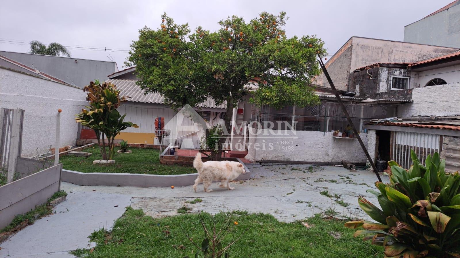 Terreno ZR-4 com 456 m  e excelente testada à venda no Santa C...